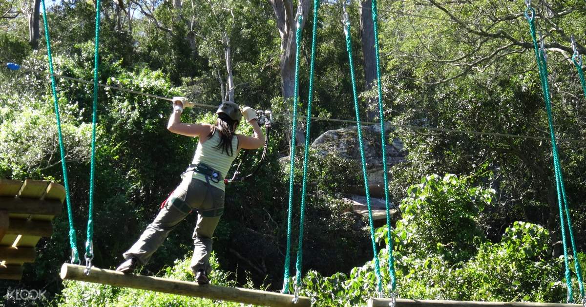 Treetop Climbing and Ziplining Experience Klook Hong Kong